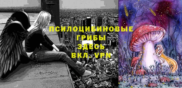 сатива Волосово
