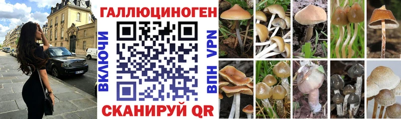 Псилоцибиновые грибы ЛСД  Купить где  Приморско-Ахтарск 